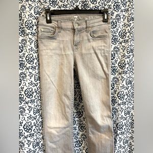7 For All Mankind The Skinny 26